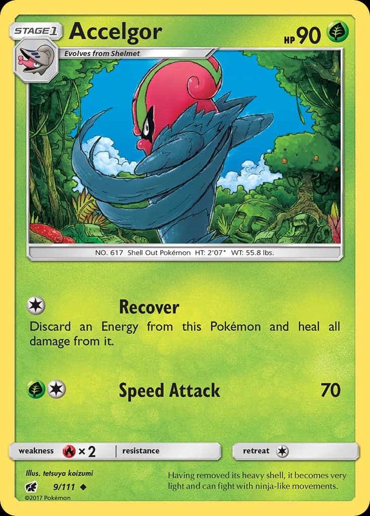 Accelgor (9)