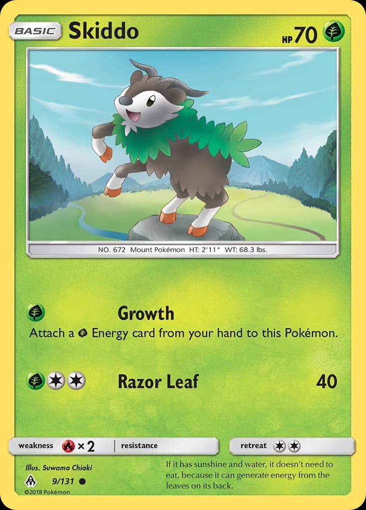 Skiddo (9)