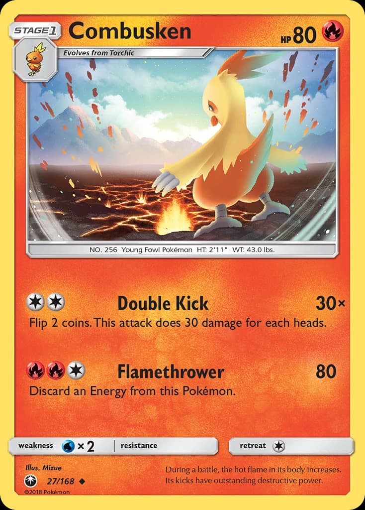 Combusken (27)