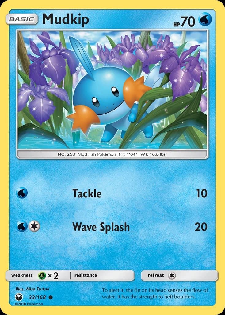 Mudkip (33)
