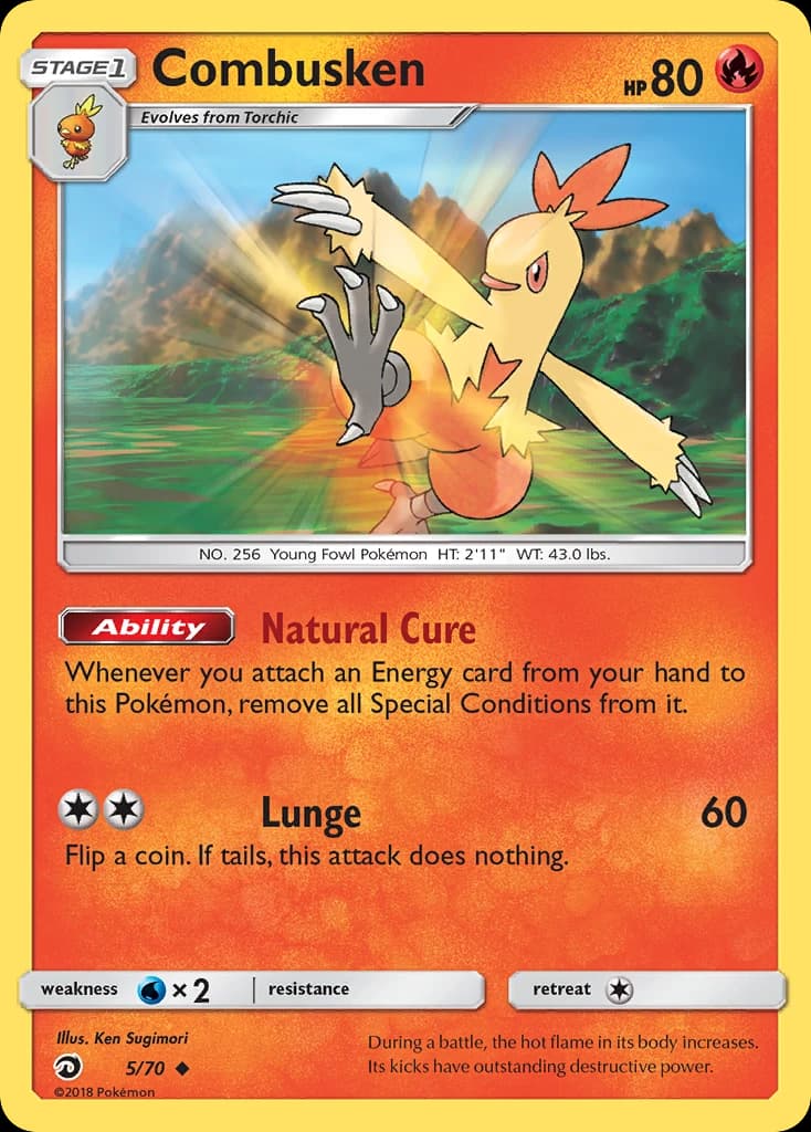 Combusken (5)
