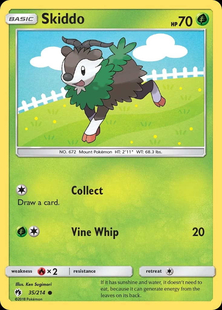 Skiddo (35)