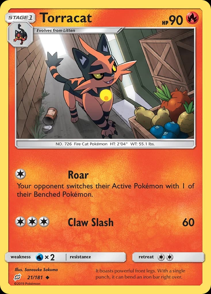 Torracat (21)