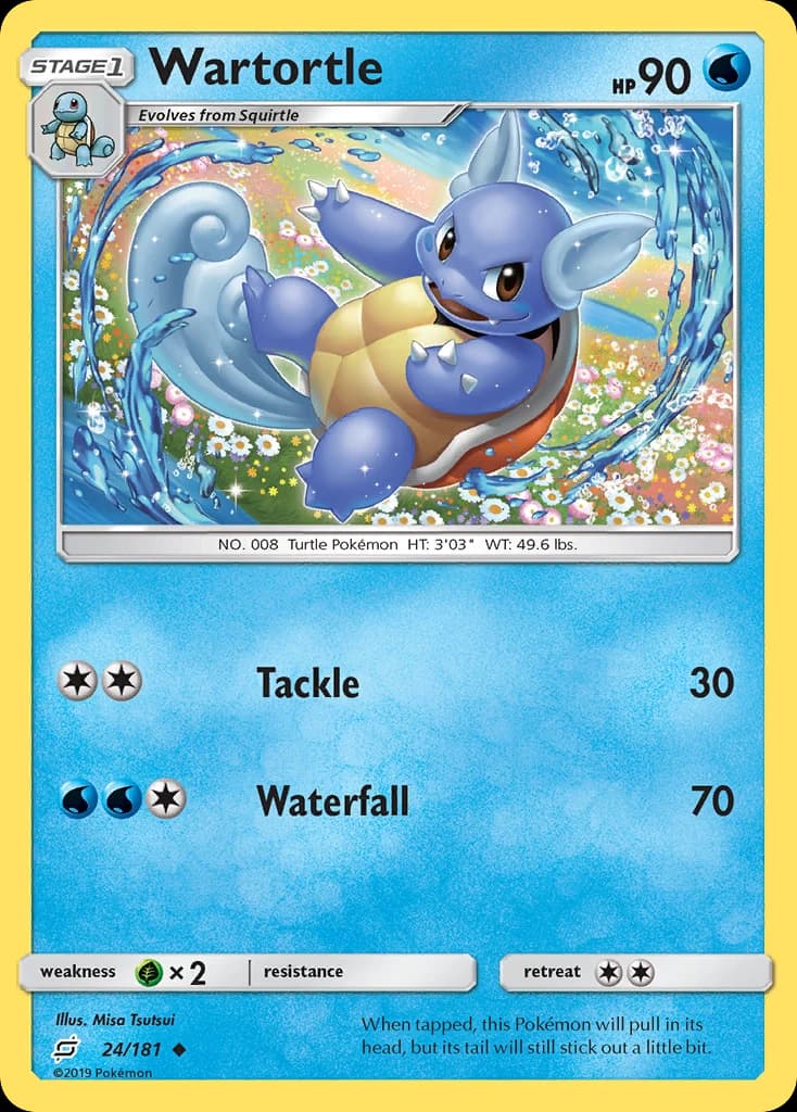 Wartortle (24)