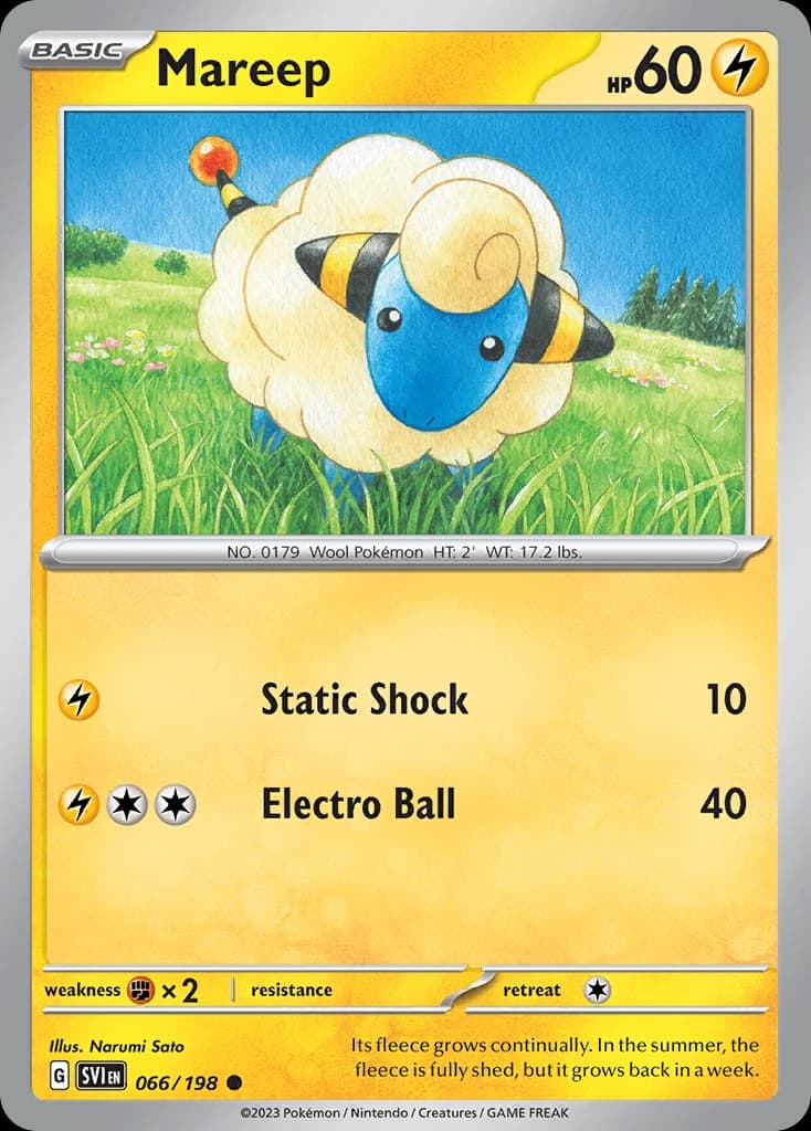 Mareep (66)