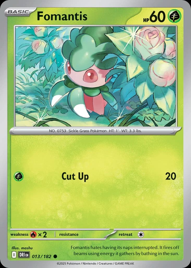 Fomantis (13)
