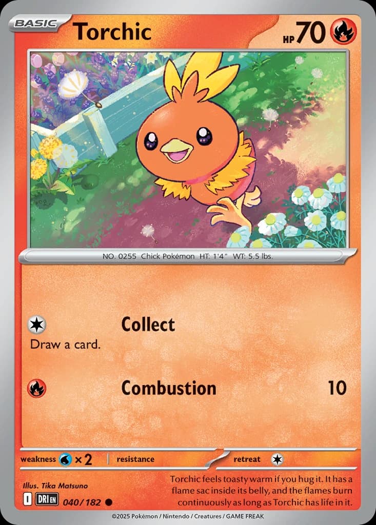 Torchic (40)