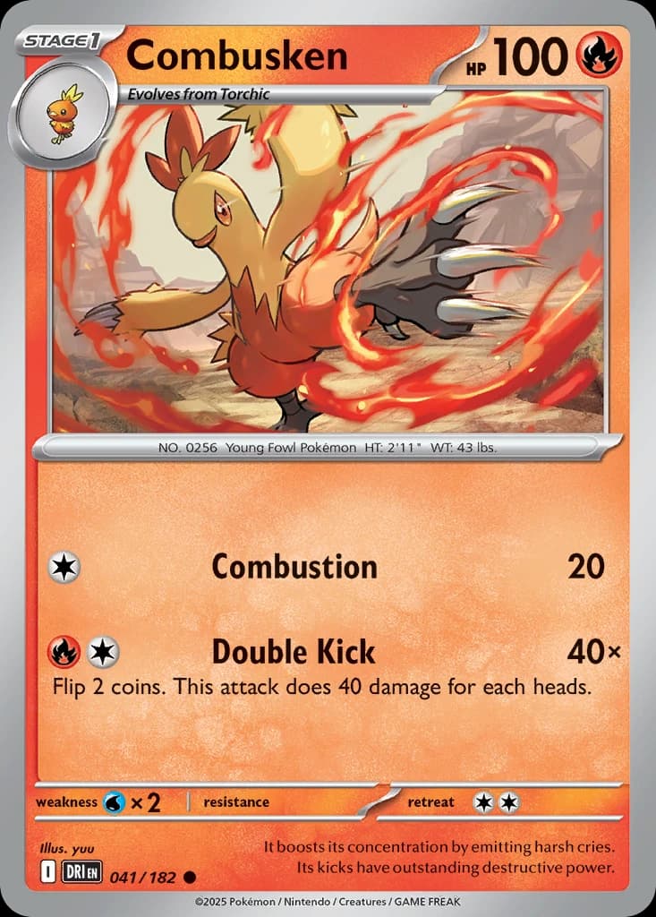 Combusken (41)