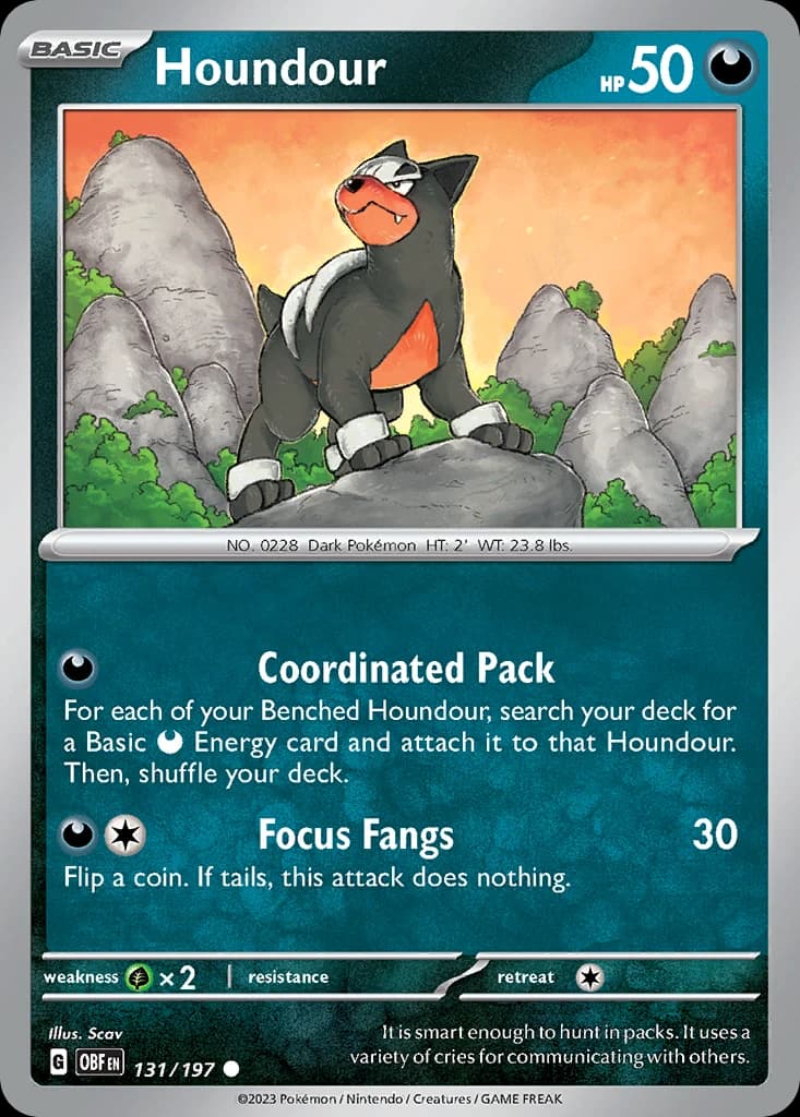 Houndour (131)