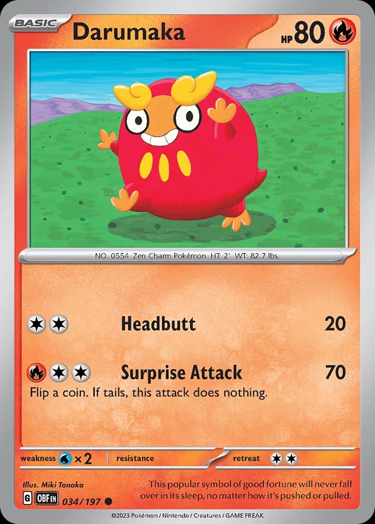 Darumaka (34)