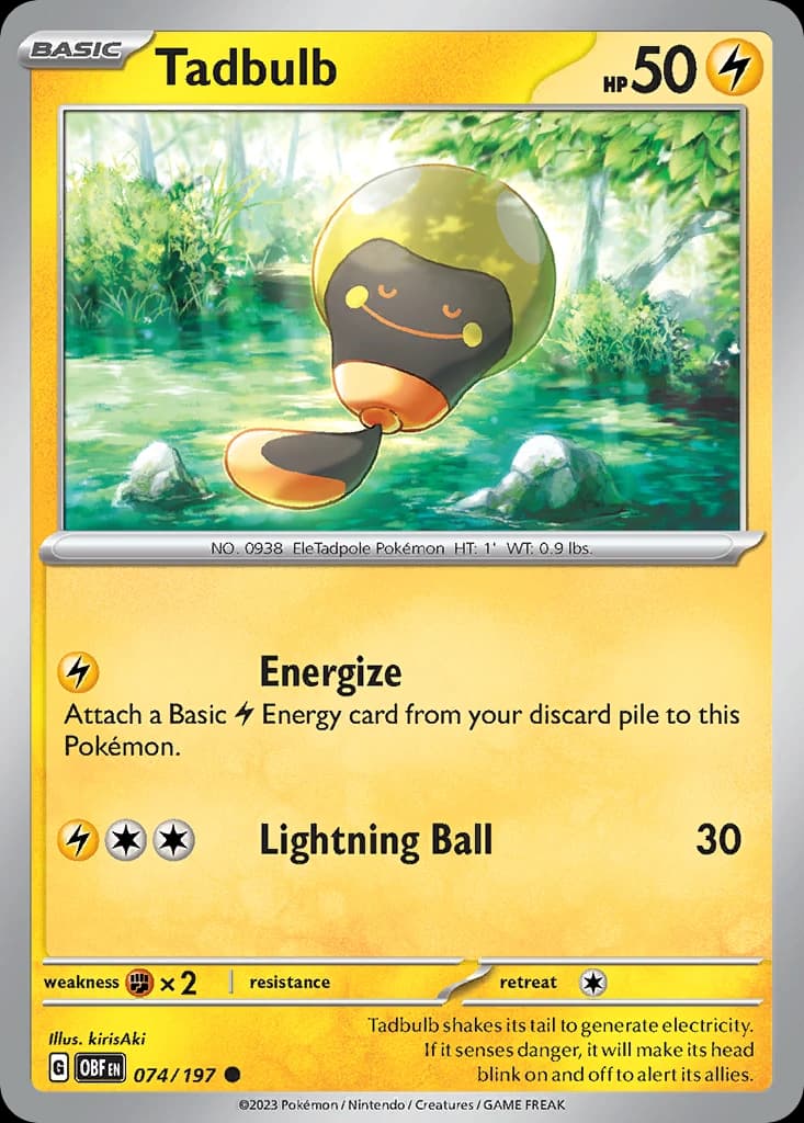 Tadbulb (74)