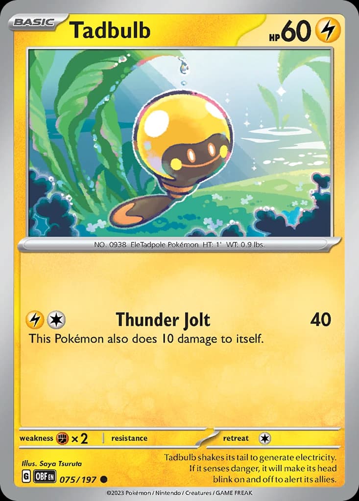 Tadbulb (75)