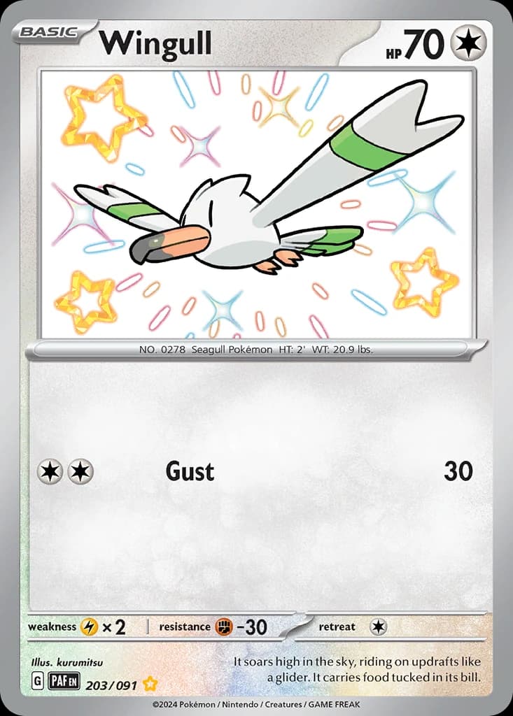 Wingull (203)