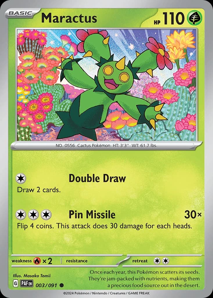 Maractus (3)