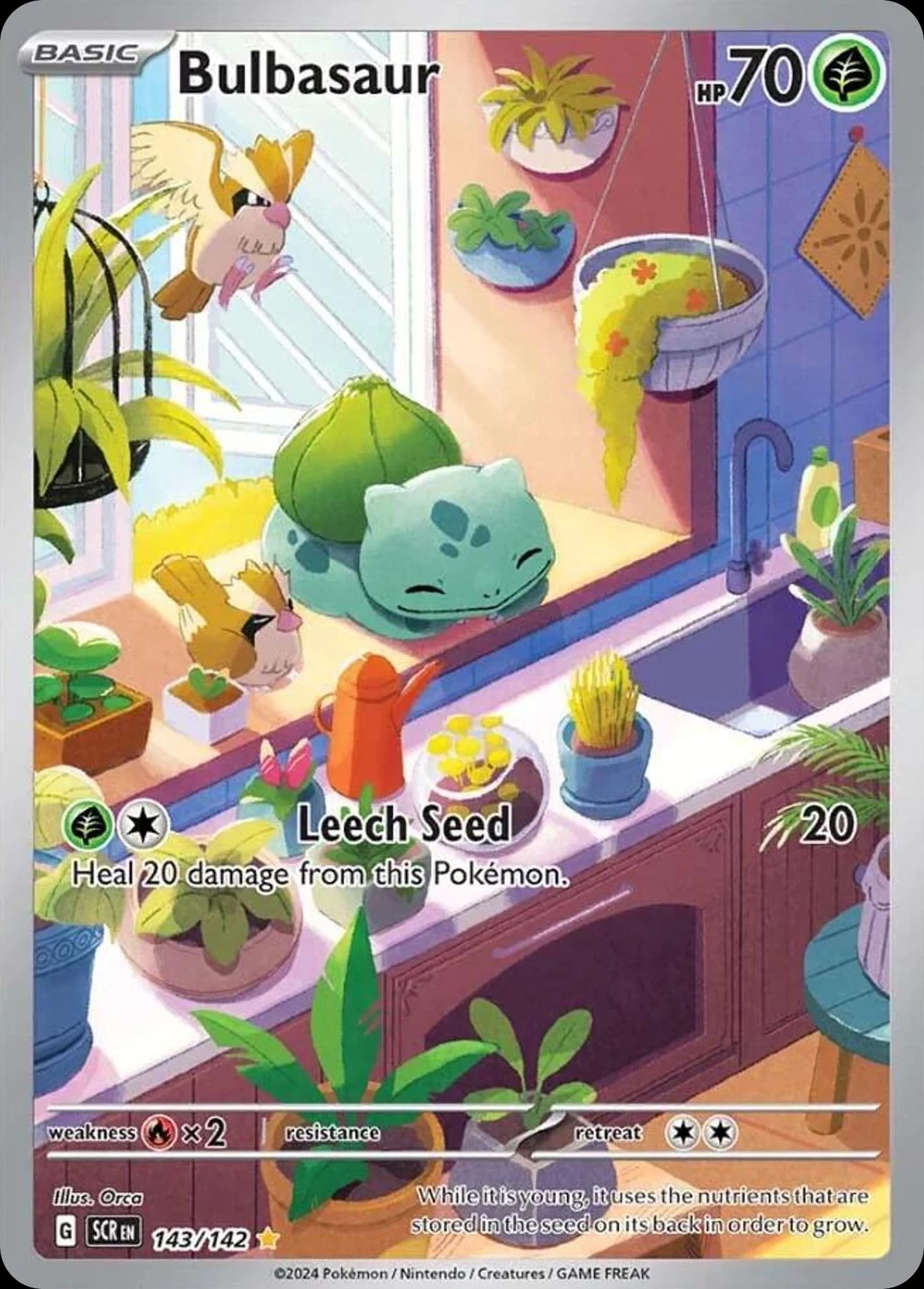 Bulbasaur (143)