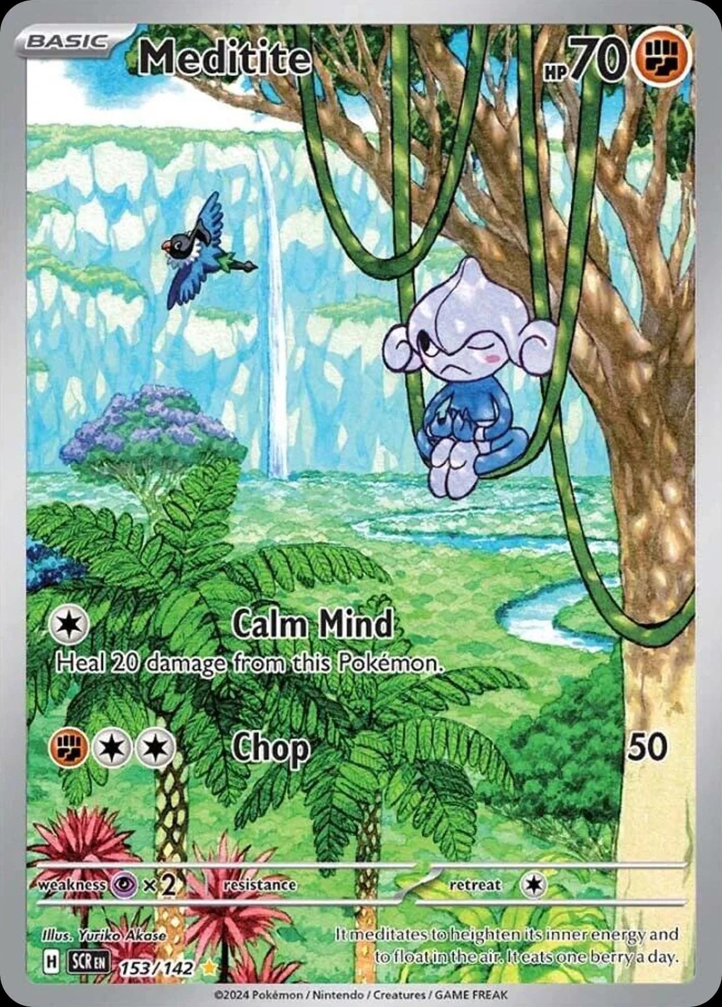 Meditite (153)