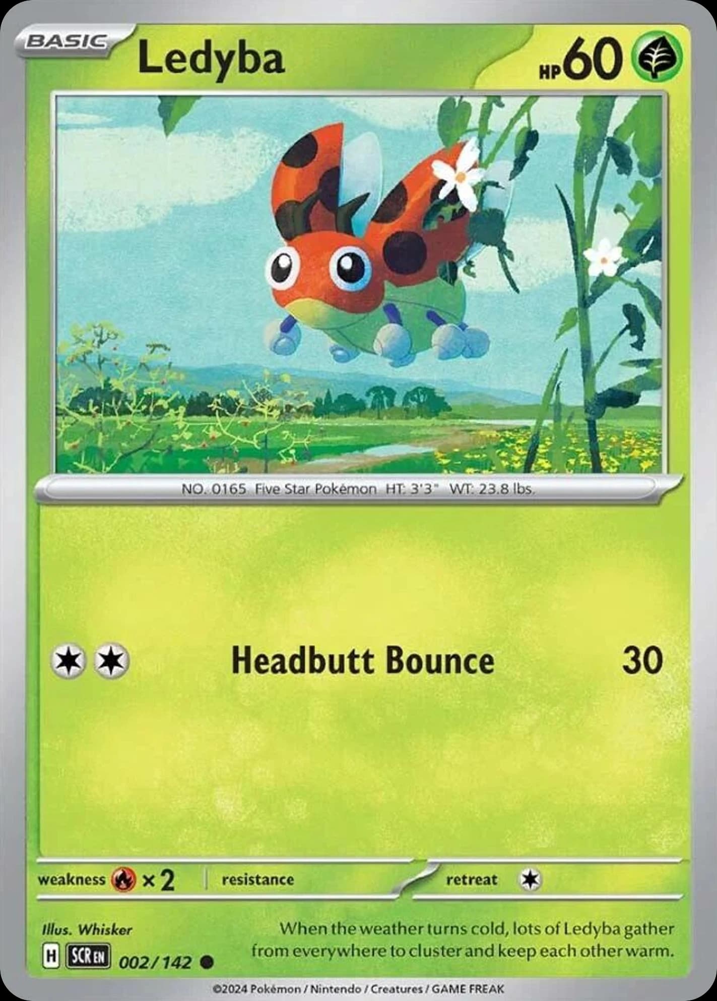 Ledyba (2)