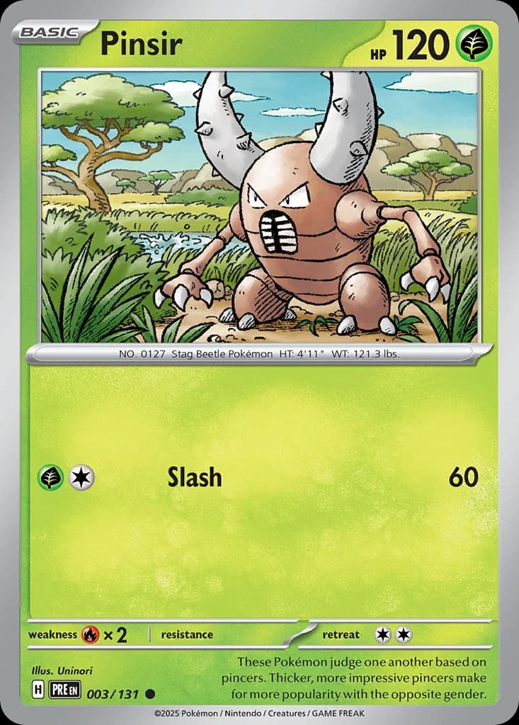 Pinsir (3)