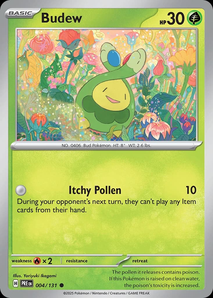 Budew (4)