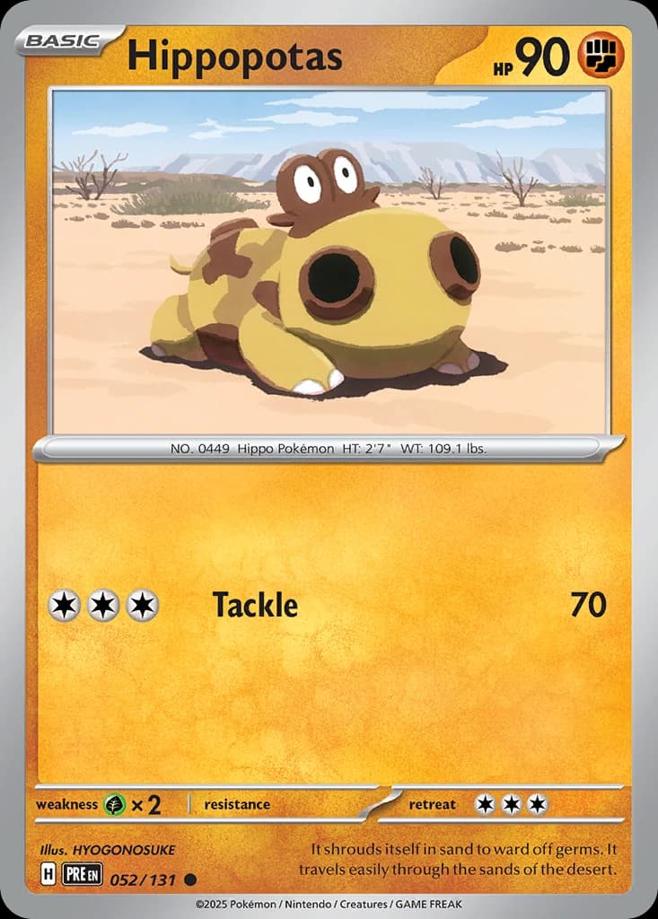 Hippopotas (52)