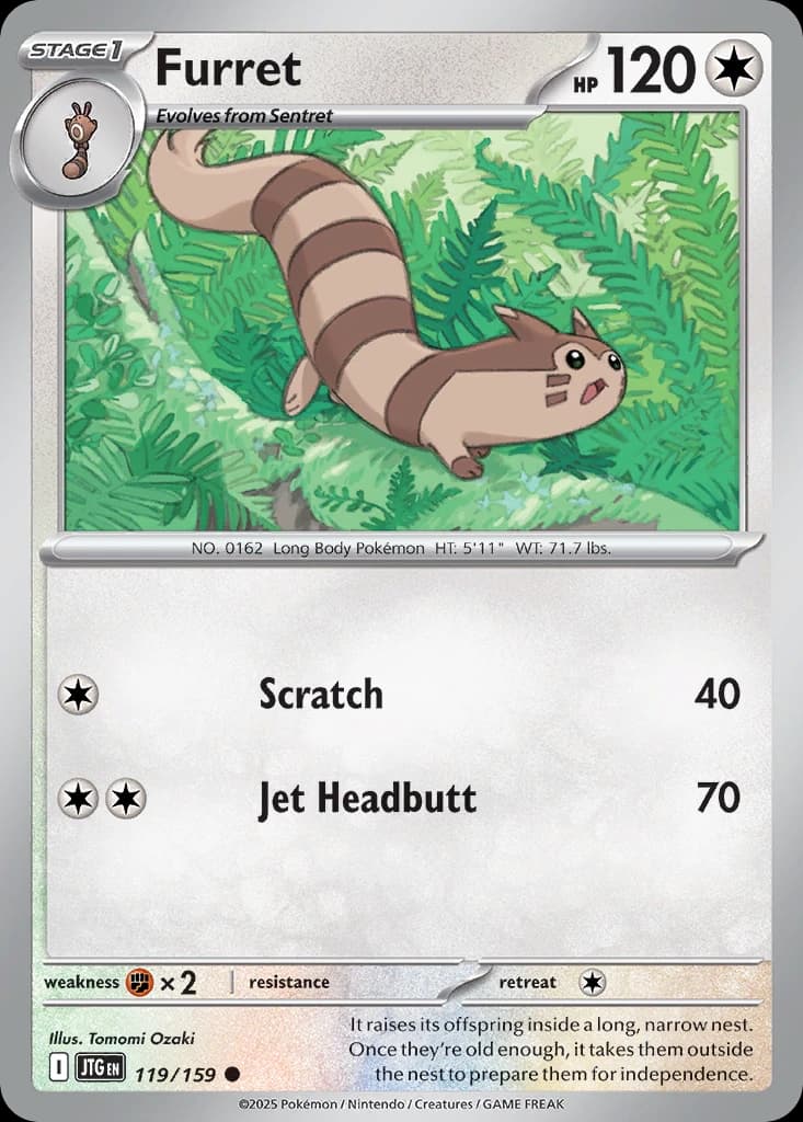 Furret (119)