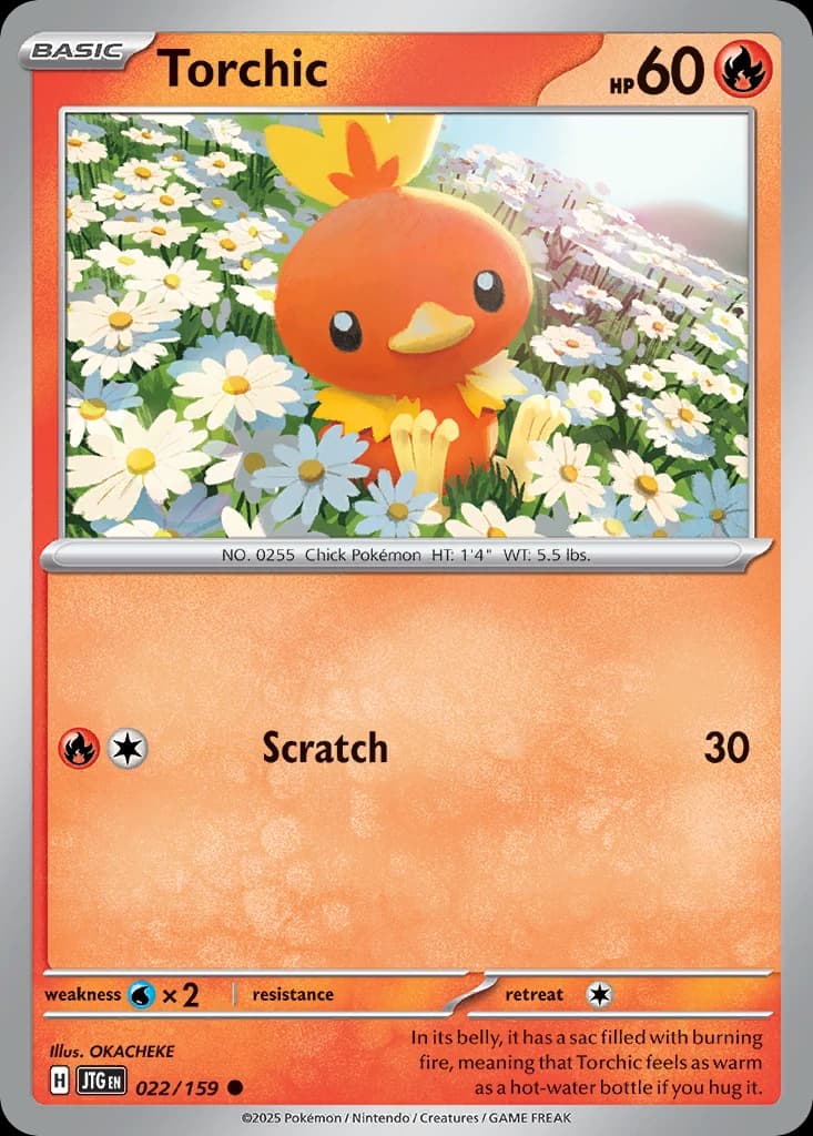 Torchic (22)