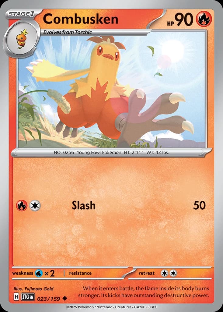 Combusken (23)