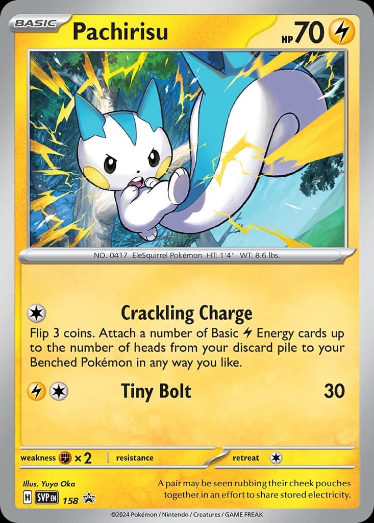 Pachirisu (158)