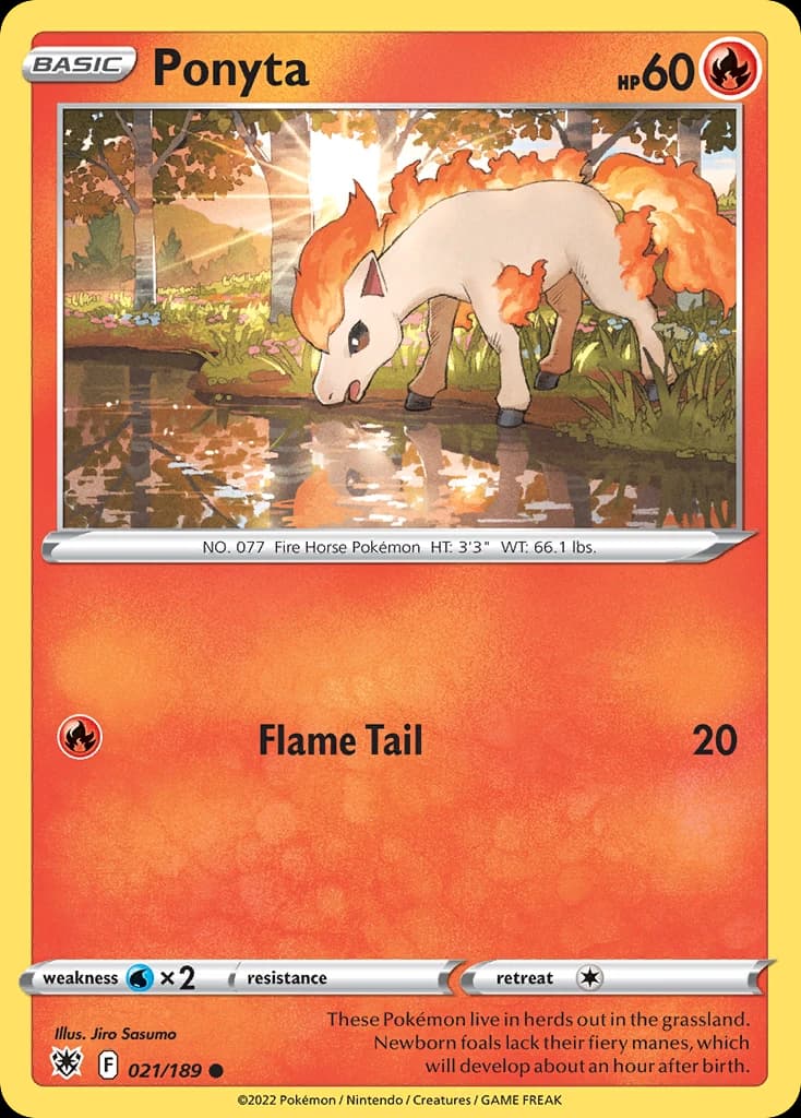 Ponyta (21)