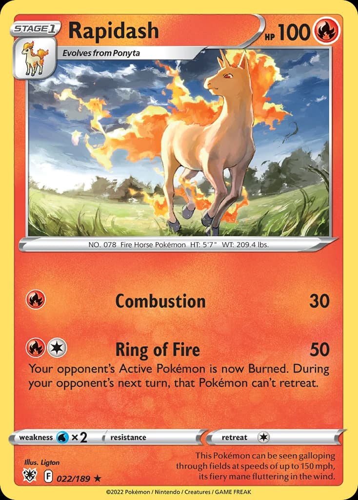 Rapidash (22)