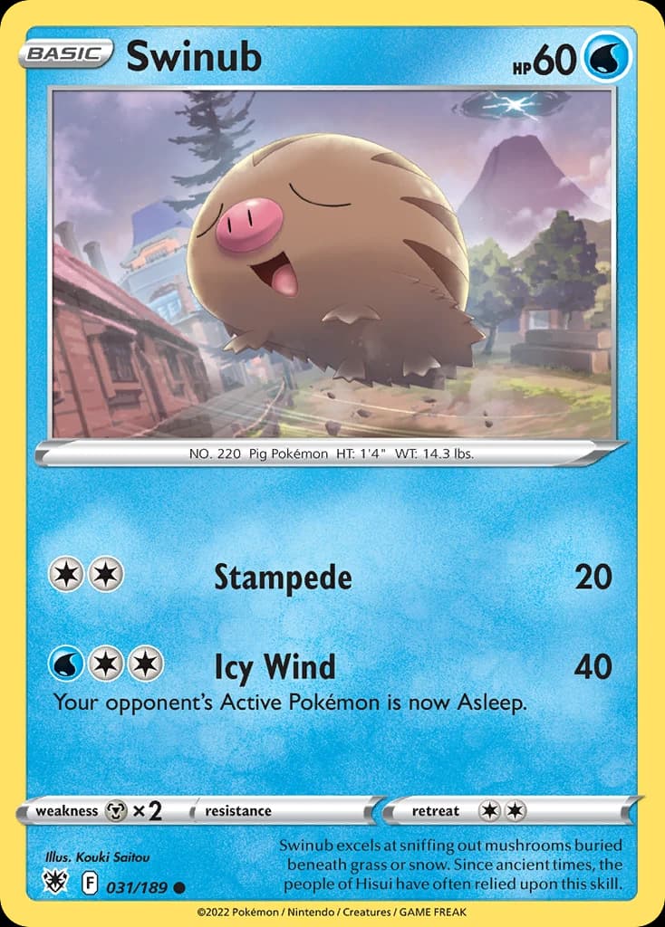 Swinub (31)