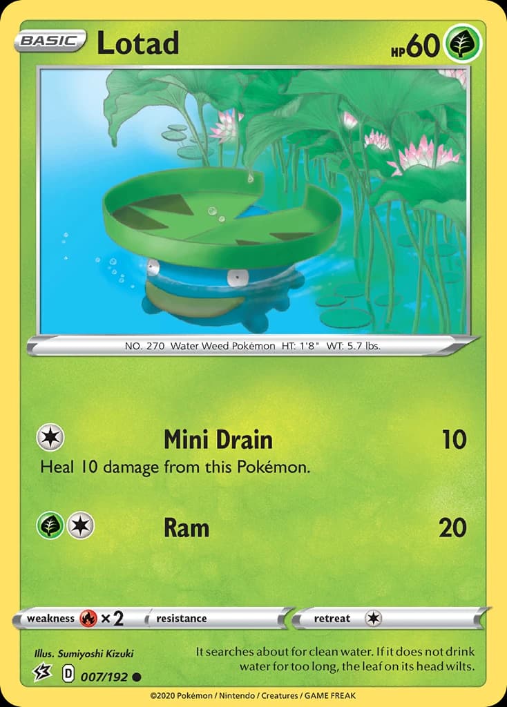 Lotad (7)