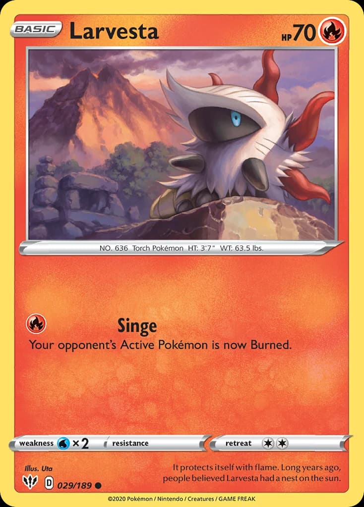 Larvesta (29)