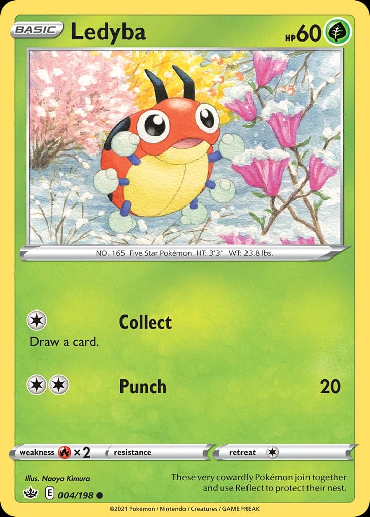 Ledyba (4)