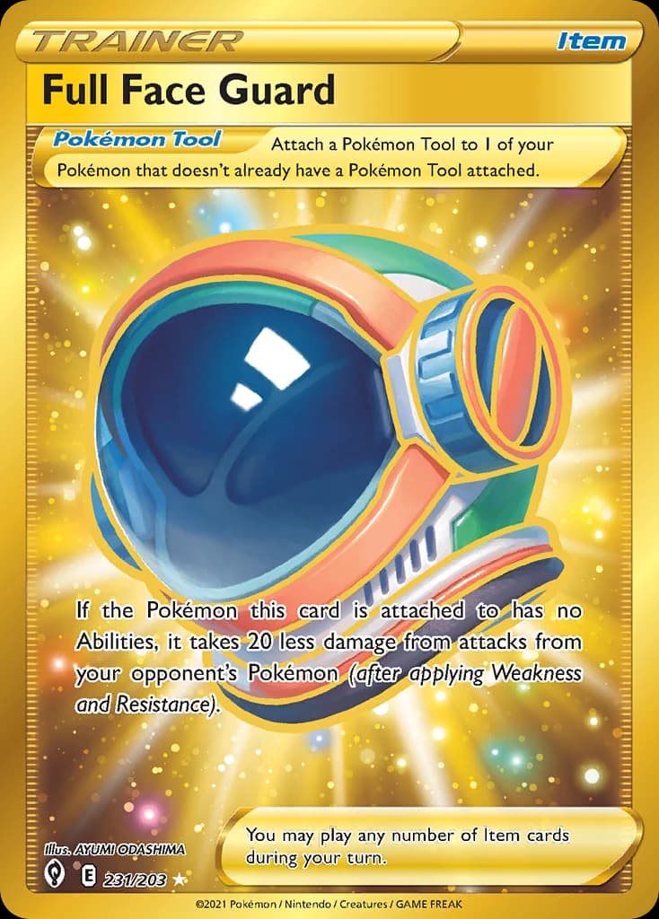 Full Face Guard (231)