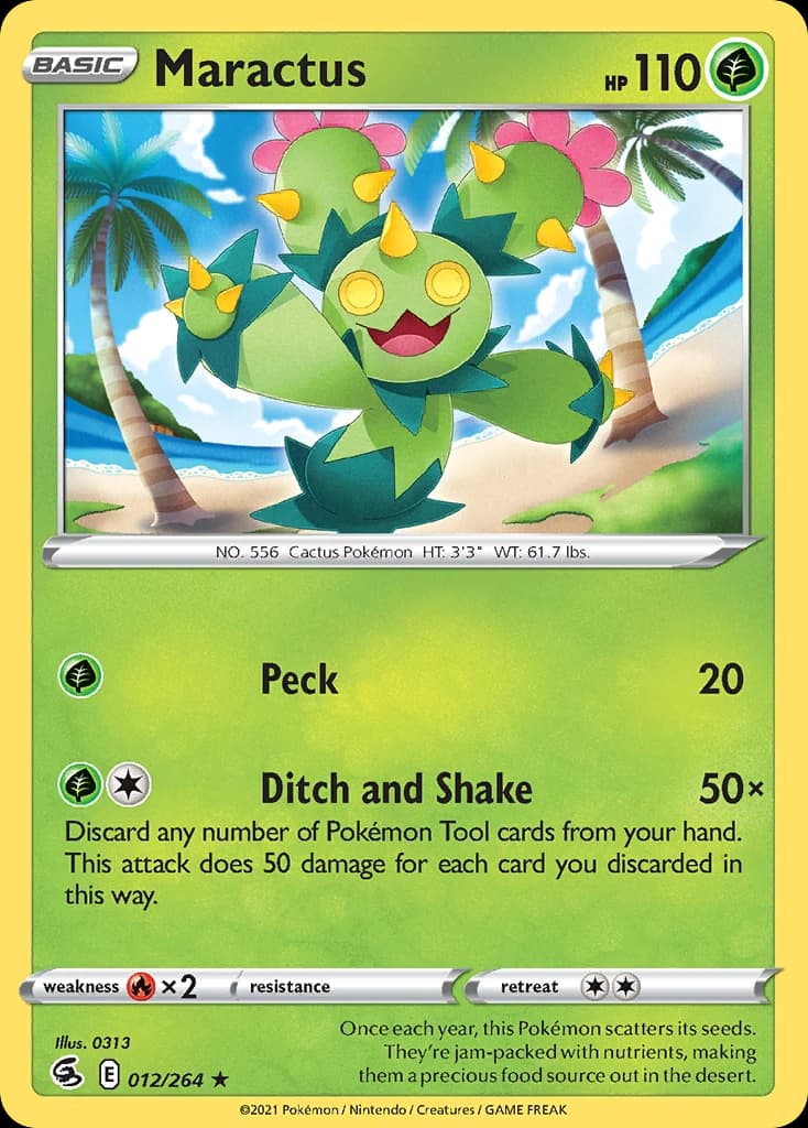 Maractus (12)