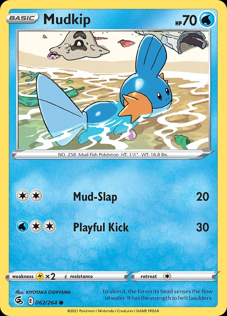 Mudkip (62)