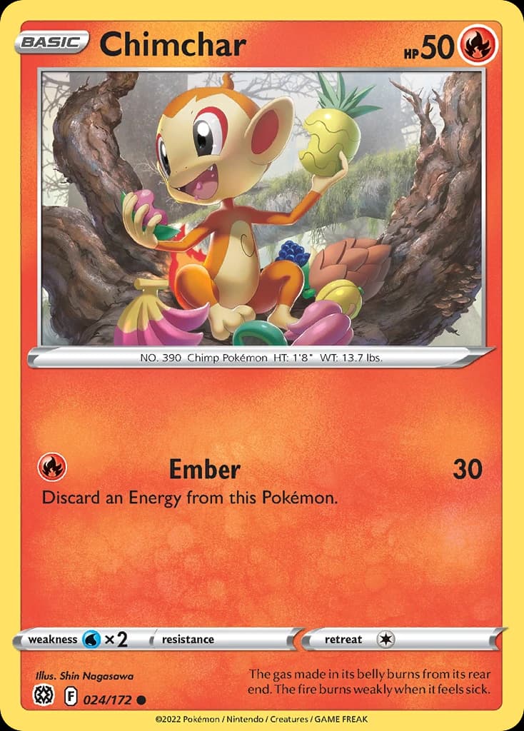 Chimchar (24)