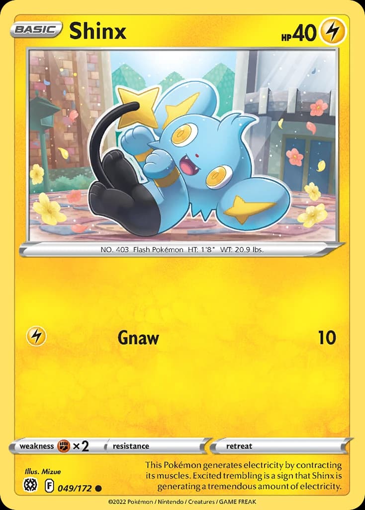 Shinx (49)