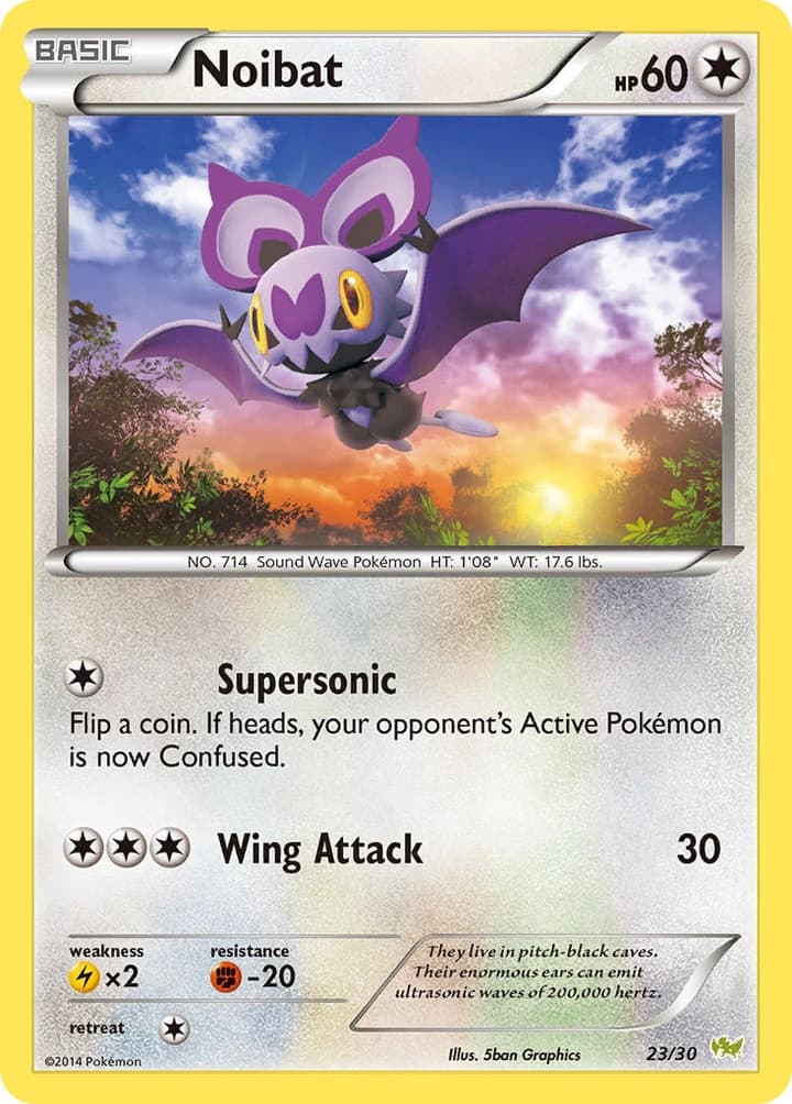 Noibat (23)