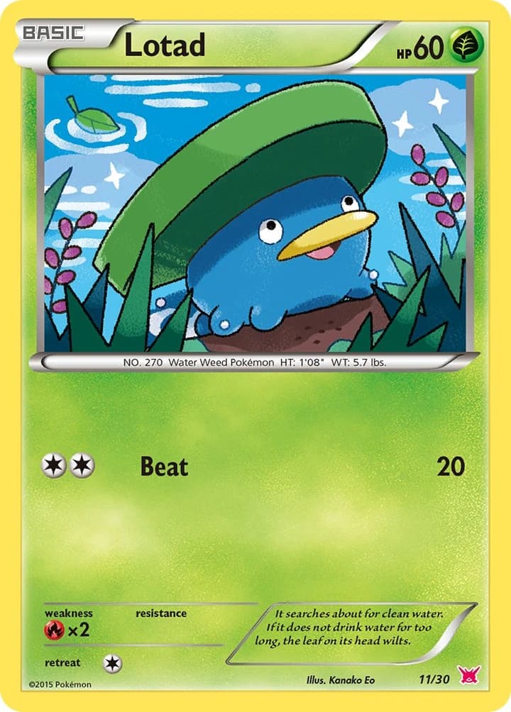 Lotad (11)