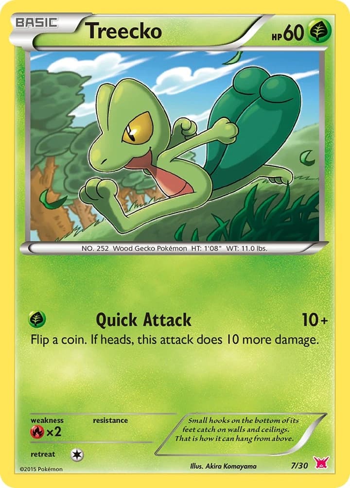 Treecko (7)