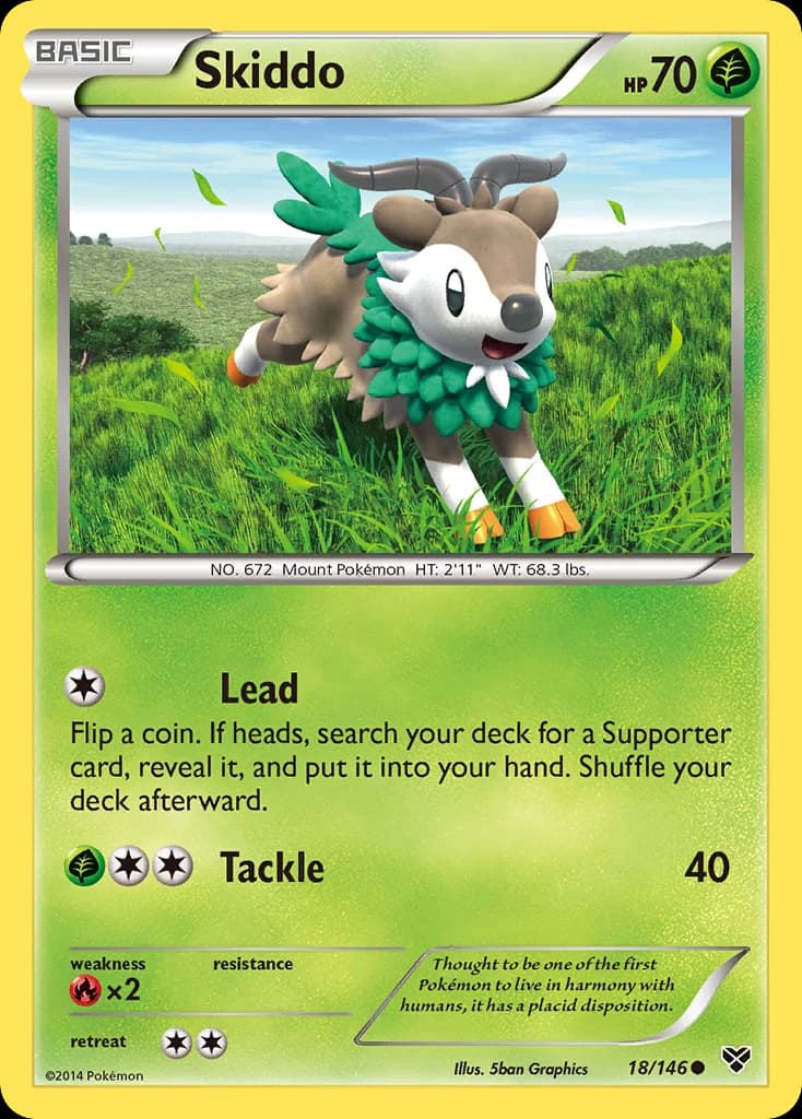 Skiddo (18)