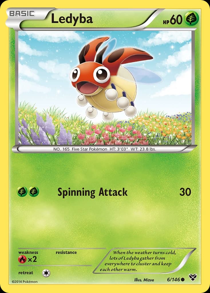 Ledyba (6)