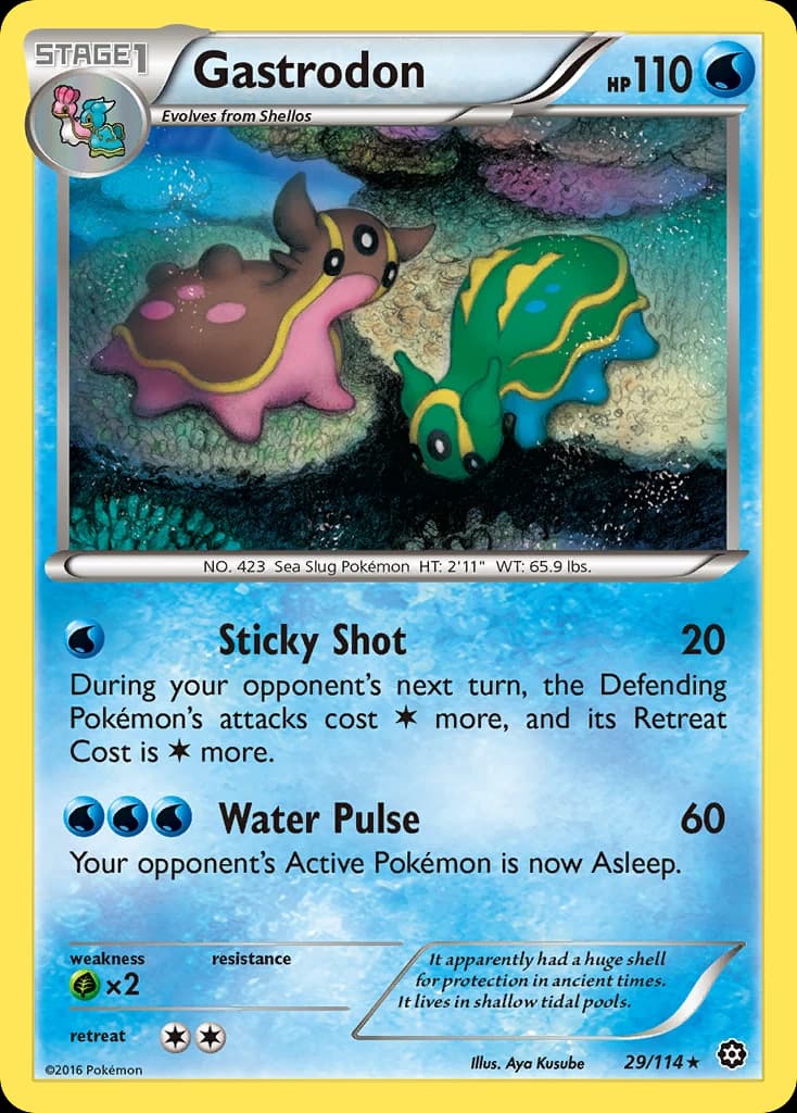 Gastrodon (29)