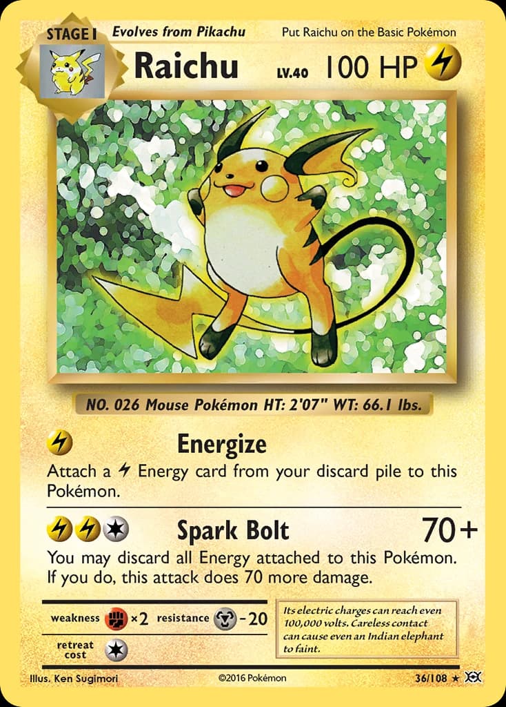 Raichu (36)