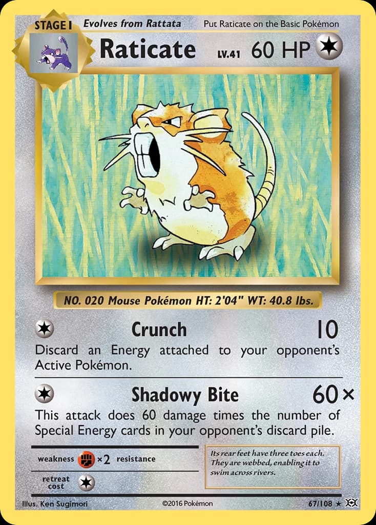 Raticate (67)
