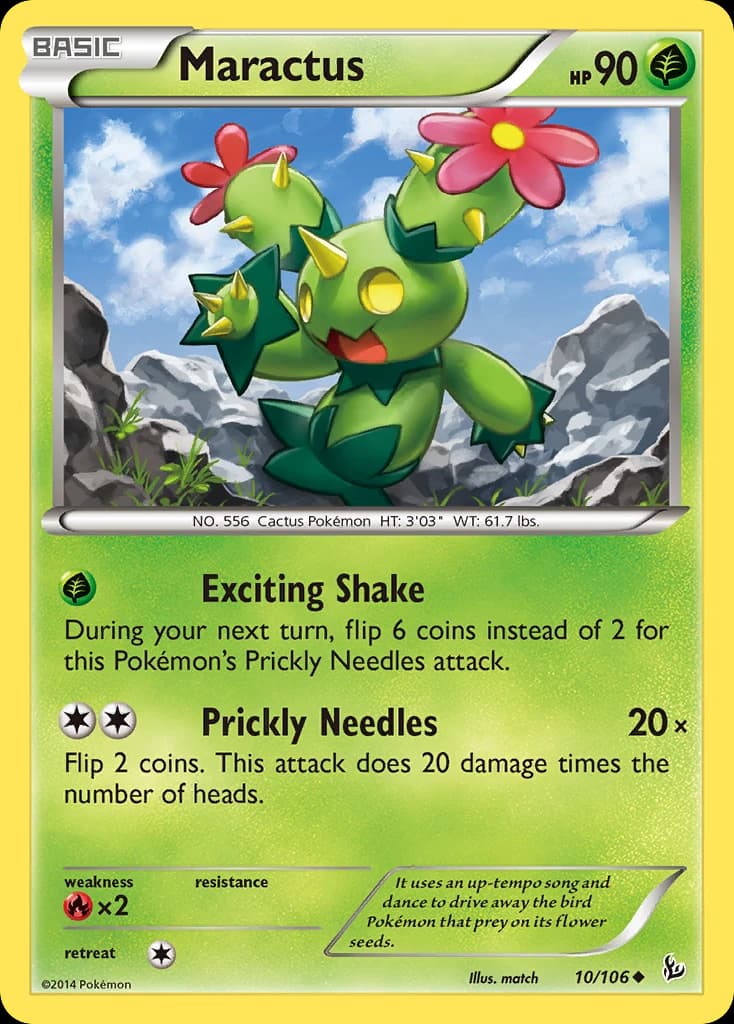 Maractus (10)