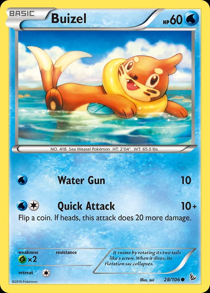 Buizel (28)