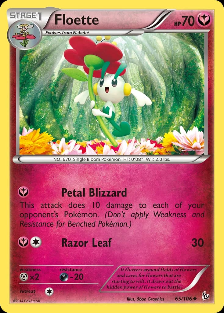 Floette (65)